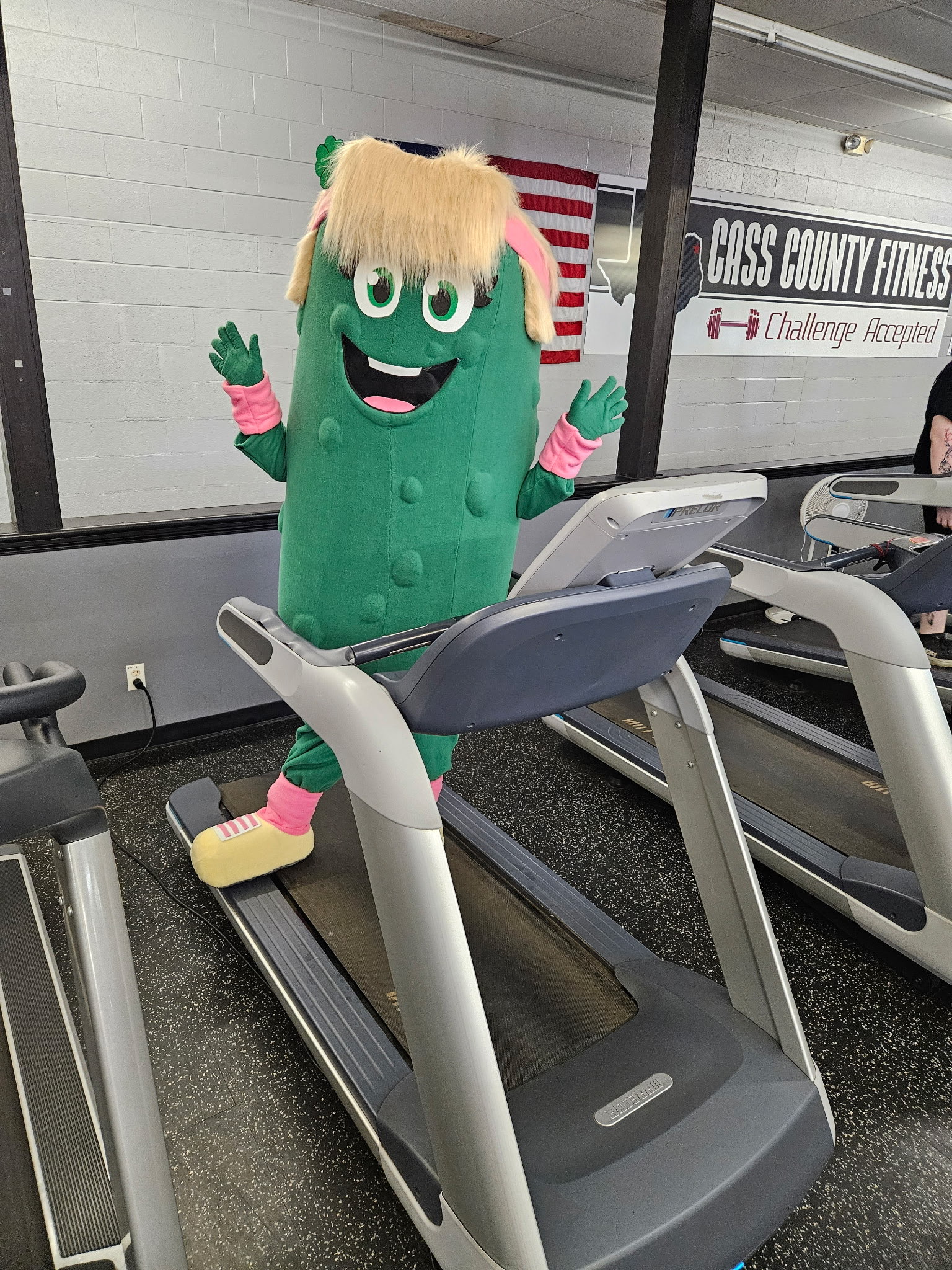 Paddy the Pickle on a treadmill